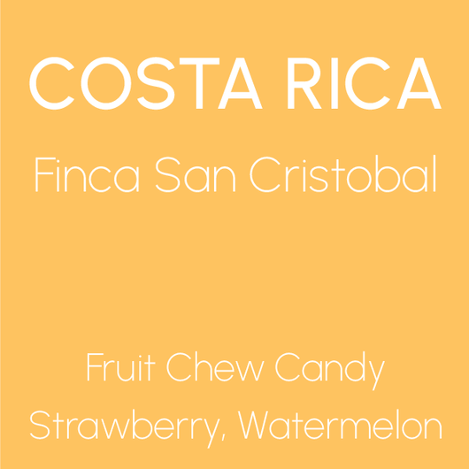 Costa Rica Danilo Salazar Finca San Cristobal Honey